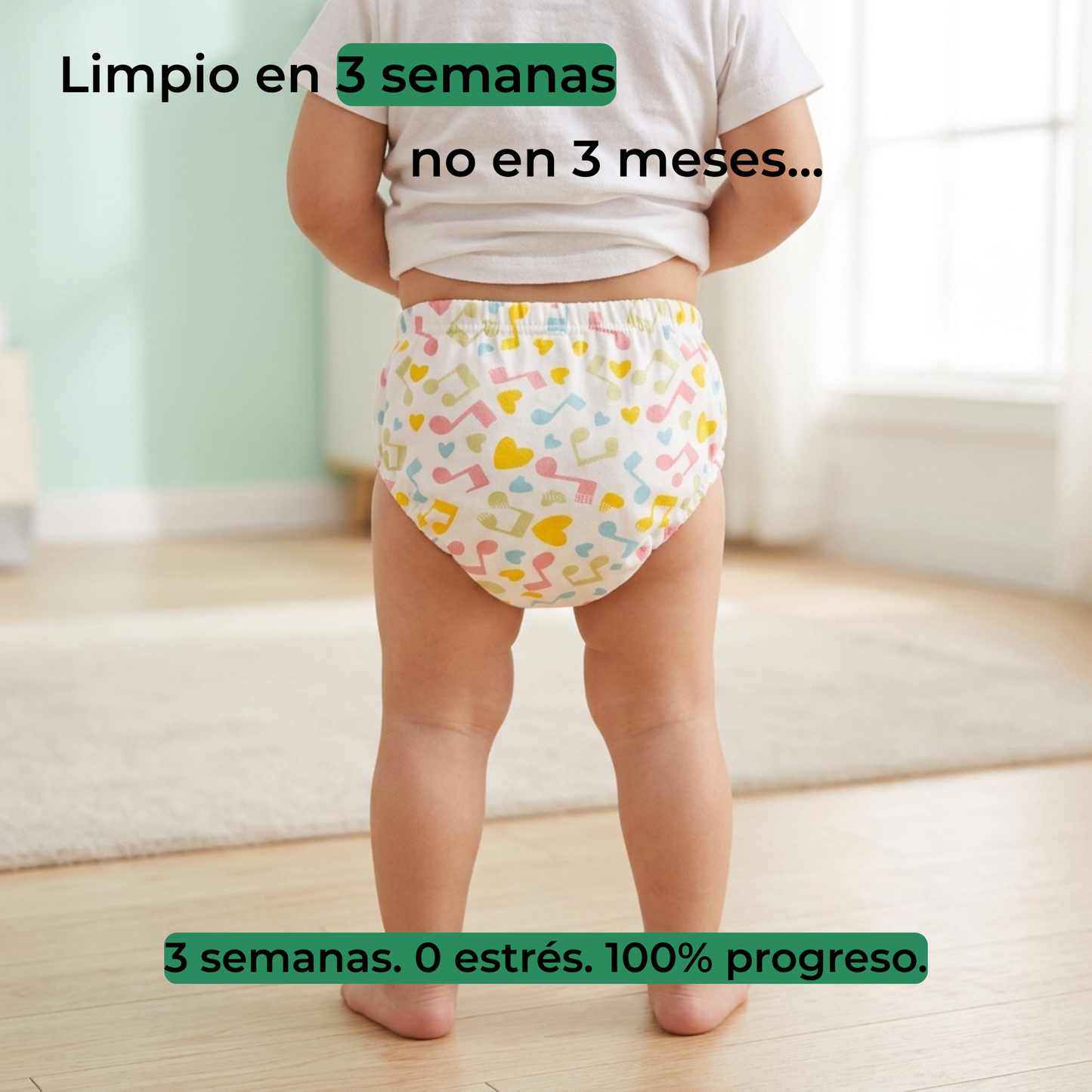 Braguitas de aprendizaje Serrenia