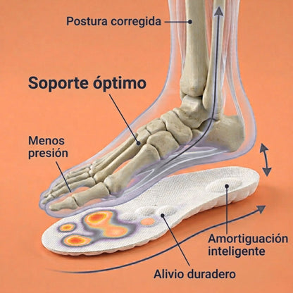 Plantillas Masajeadoras